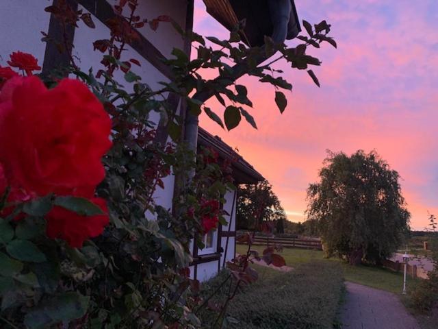 Landhotel Rosenhof Garni Am Plauer See Mit Ladesaeule Fuer E-Autos Quetzin Exteriér fotografie